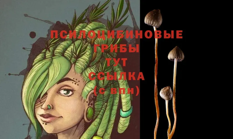 Галлюциногенные грибы MAGIC MUSHROOMS  Канск 