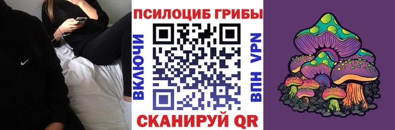 маркетплейс официальный сайт  Канск  Галлюциногенные грибы прущие грибы 