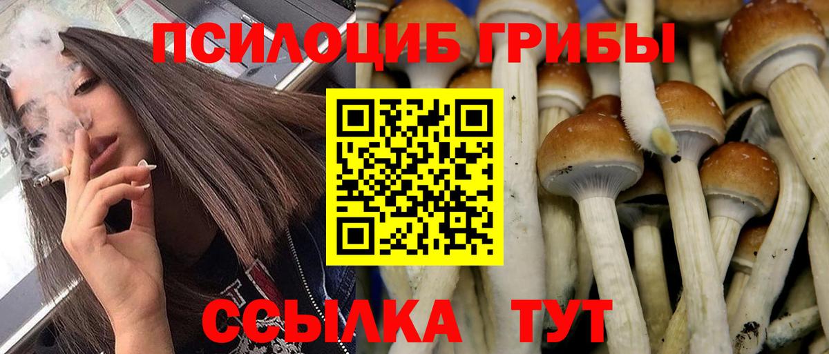 Псилоцибиновые грибы прущие грибы Канск