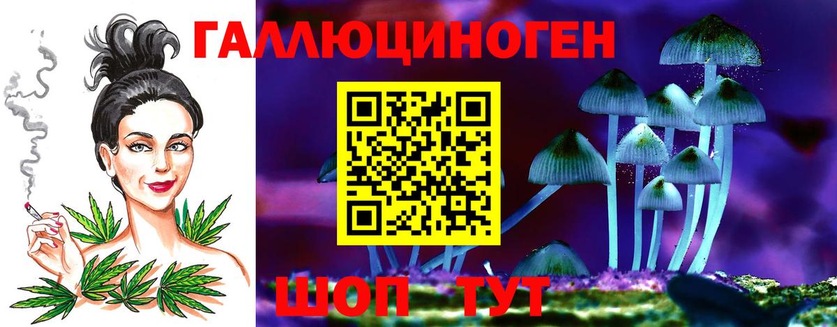 Псилоцибиновые грибы прущие грибы  Вход с VPN  Канск 
